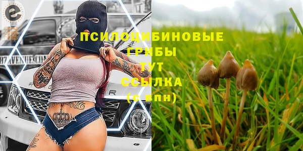 mix Алексин